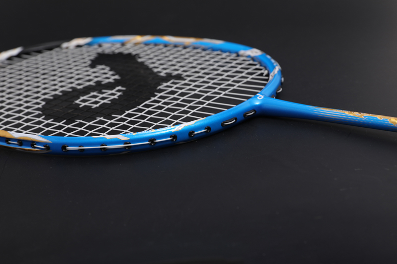 Premium Carbon Badmintonracket Cx-b668 Blå